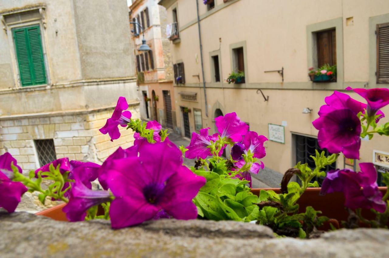 B&B Chiostro San Marco Tarquinia Exterior foto